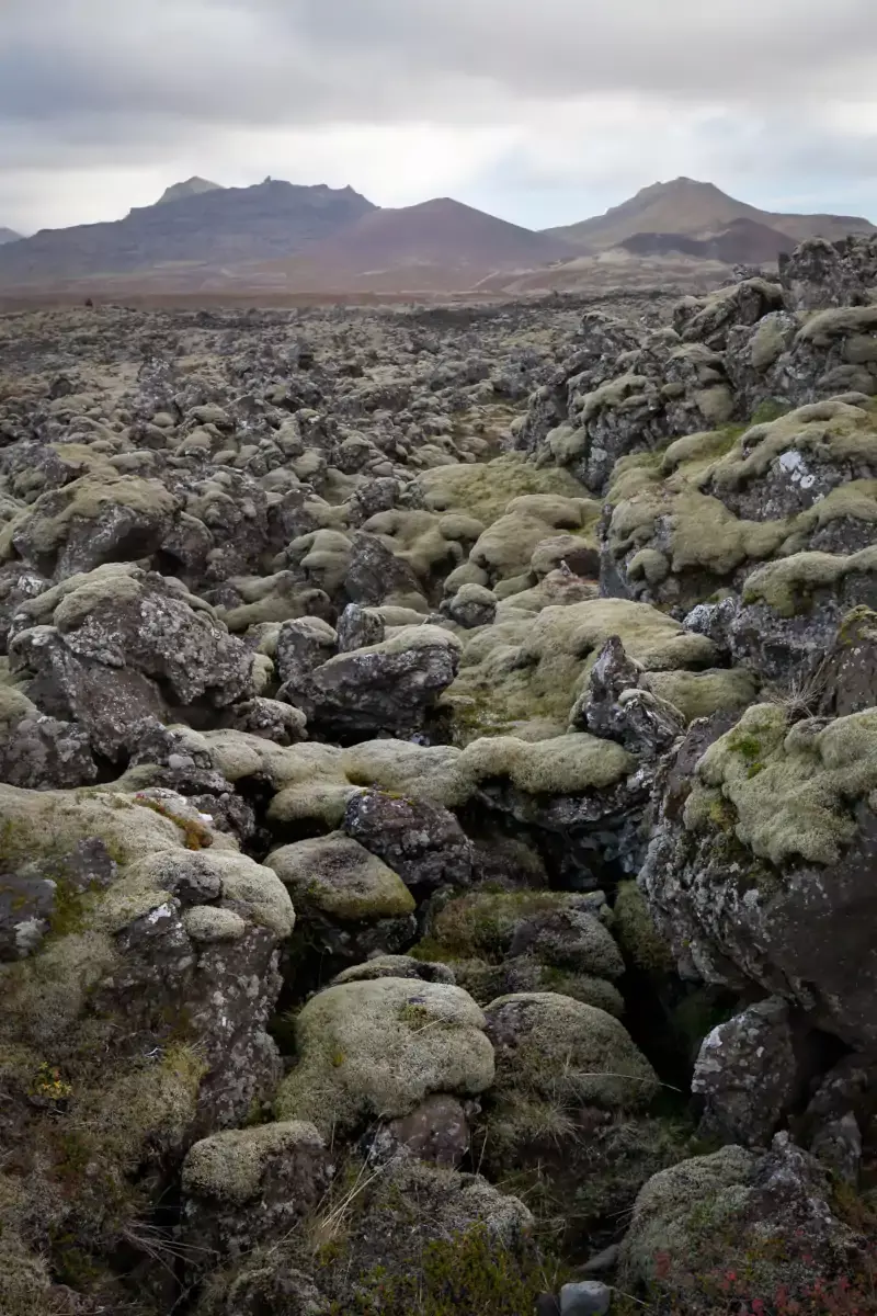 Champs de lave Berserkjahraun